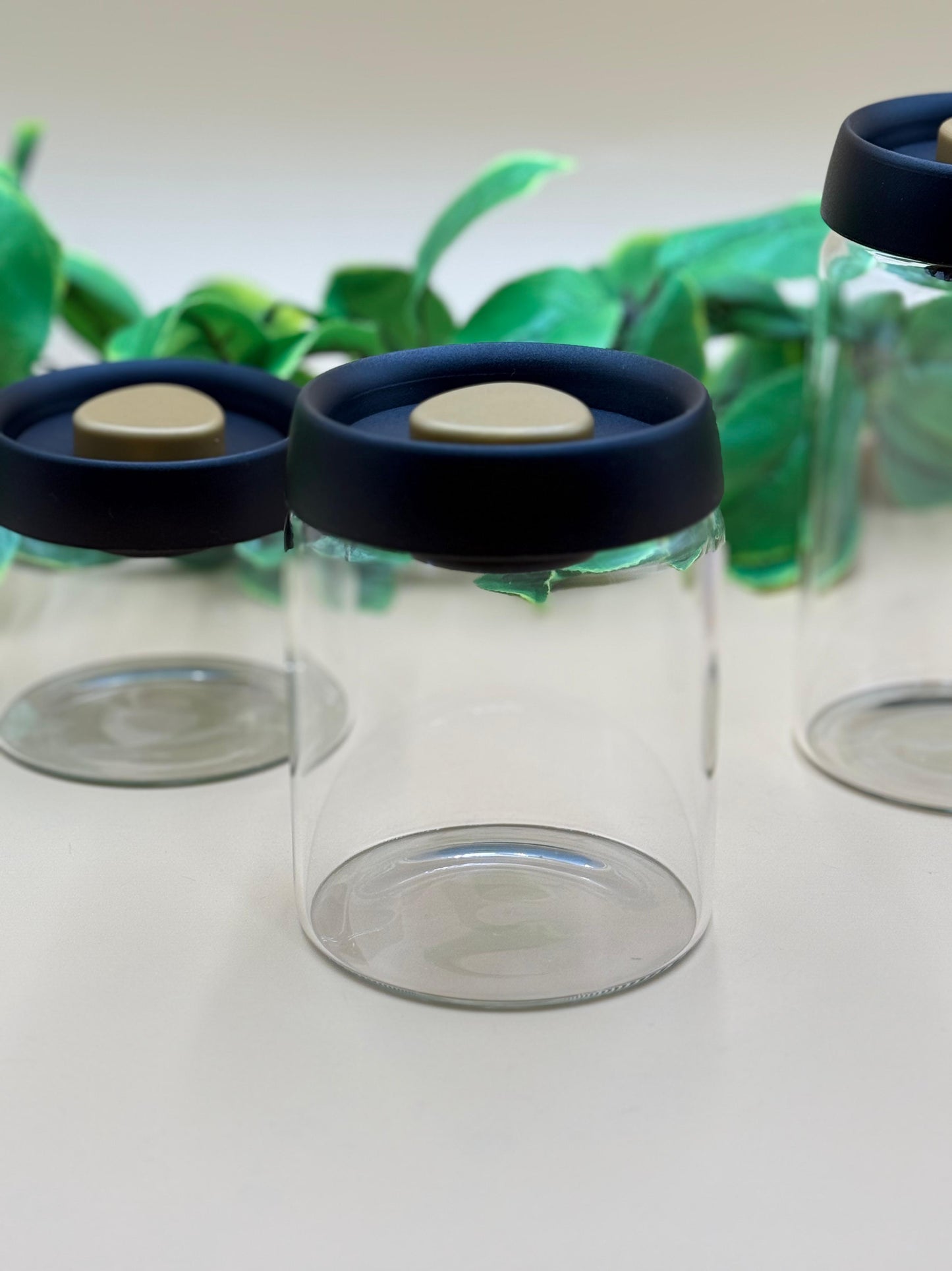 3 Pcs Vacuum Sealed Air Tight Jars with Press-On Lids ✨