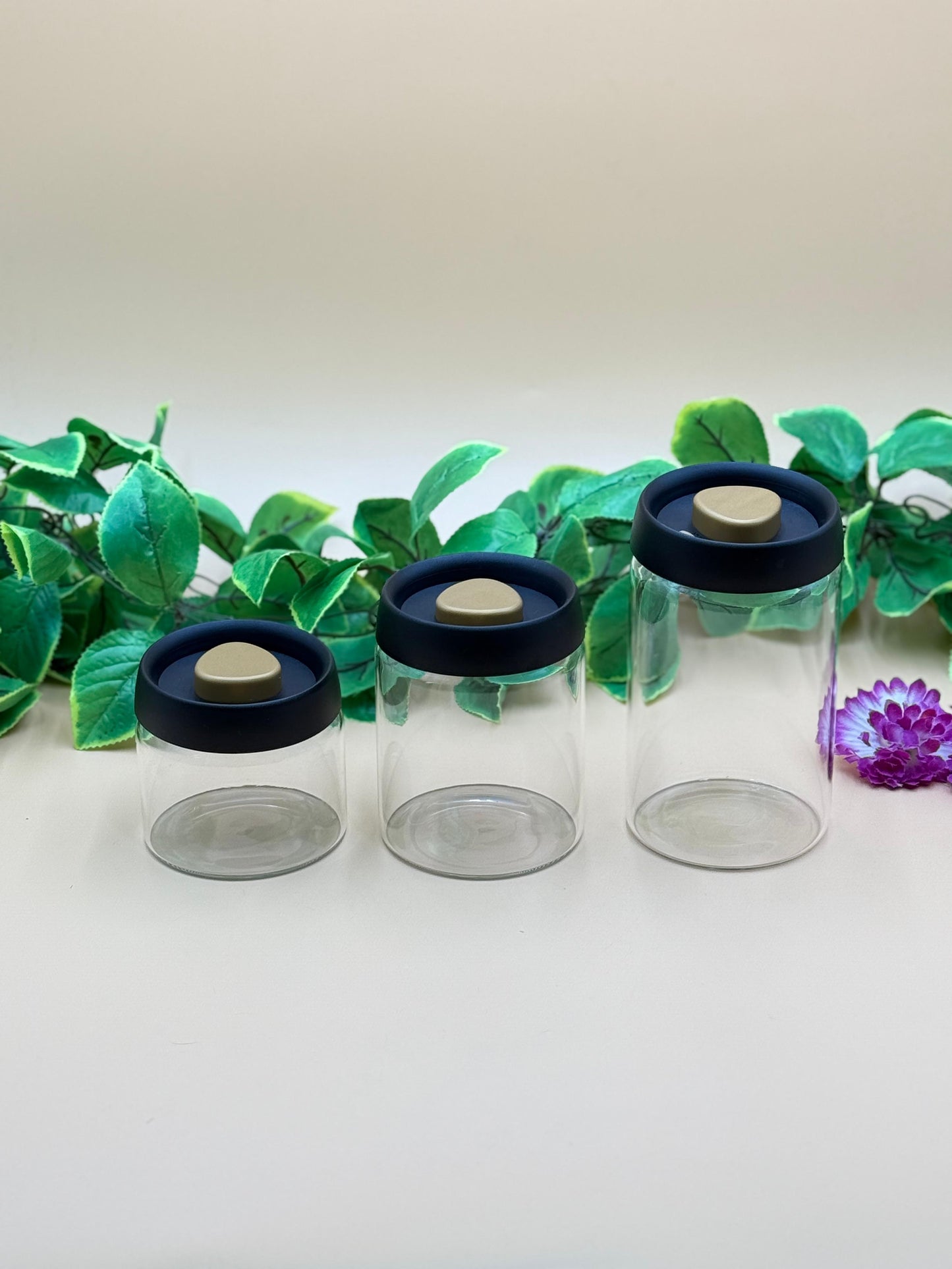 3 Pcs Vacuum Sealed Air Tight Jars with Press-On Lids ✨