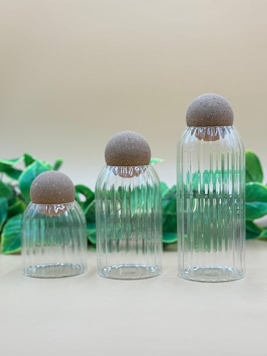 3 Pcs Crystal Glass Airtight Jar Set with Circular Bamboo Lid ✨