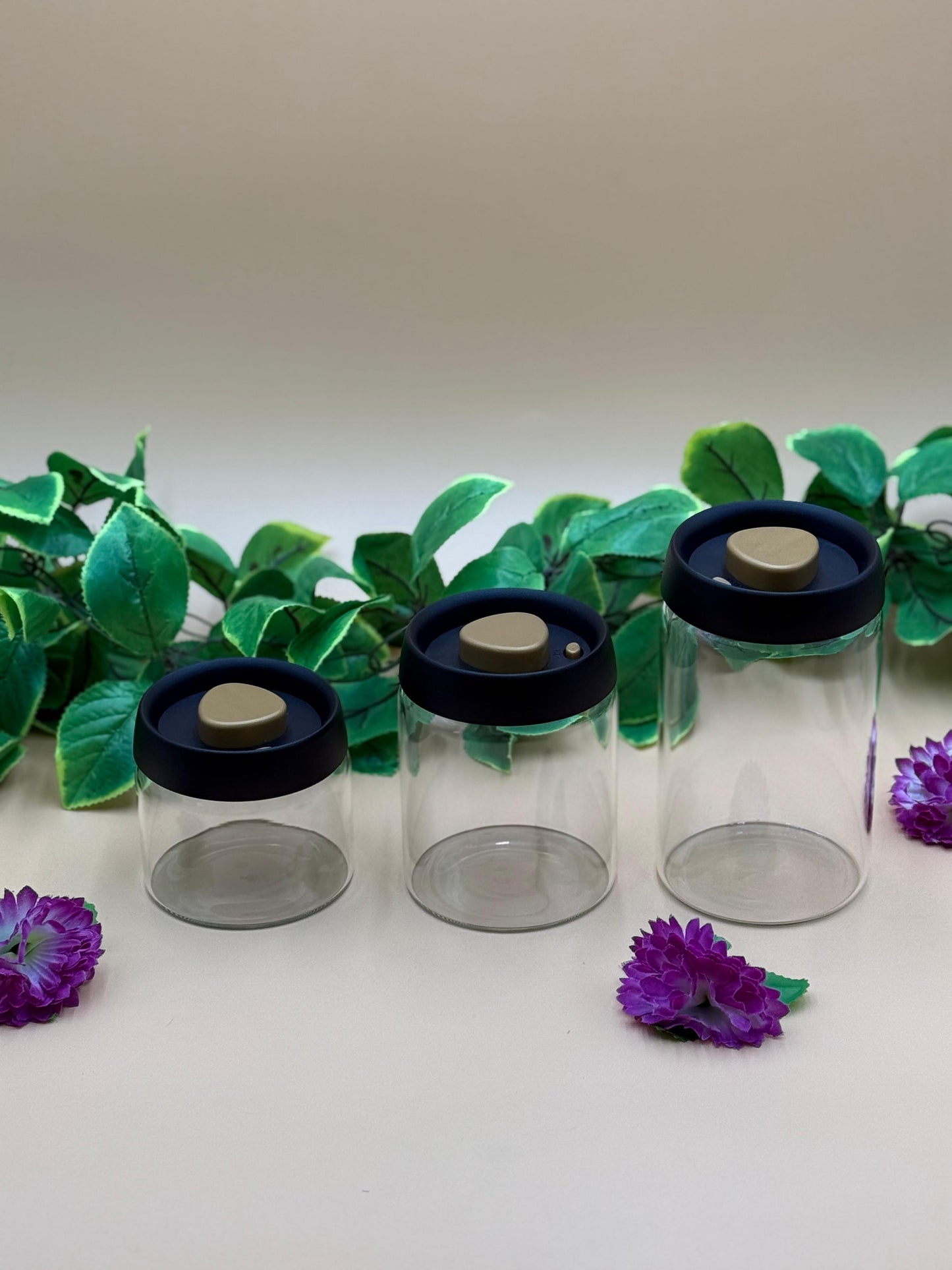 3 Pcs Vacuum Sealed Air Tight Jars with Press-On Lids ✨